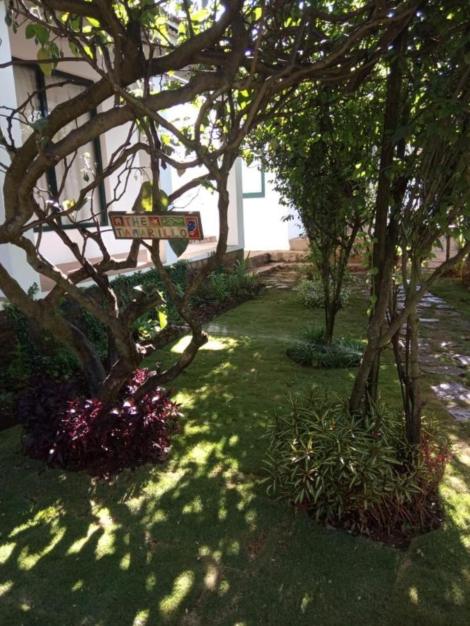The Tamarillo Bed & Breakfast Ооти Екстериор снимка