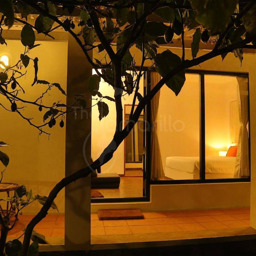 The Tamarillo Bed & Breakfast Ооти Екстериор снимка