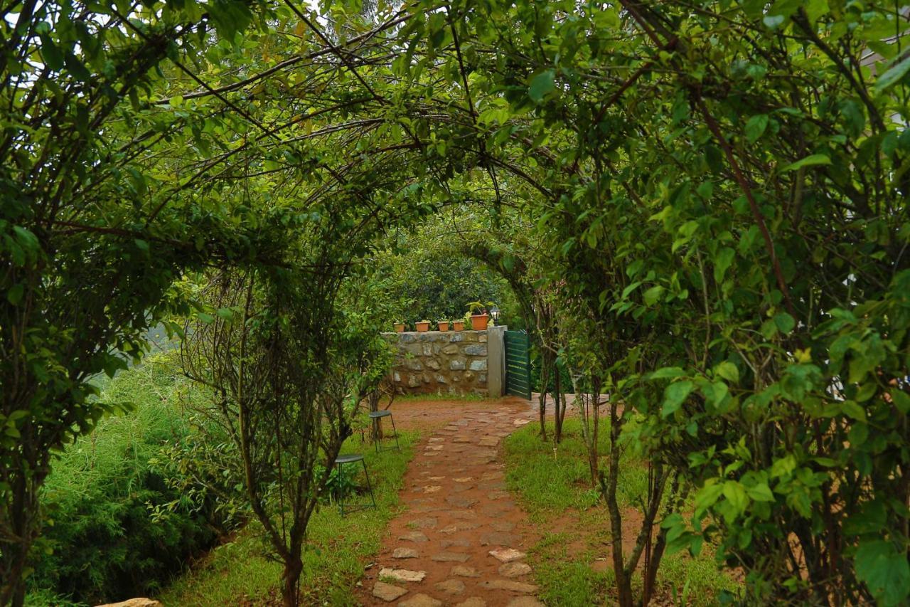 The Tamarillo Bed & Breakfast Ооти Екстериор снимка